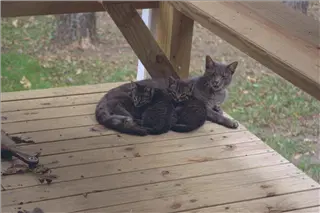 small_9511 2524 family, cew, viaIMG0029.webp